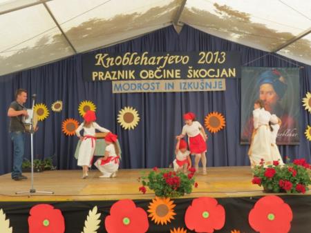 KNOBLEHARJEVO - 2013 - MODROST IN IZKUŠNJE-SREČANJE STAREJŠIH 8